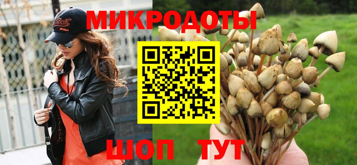 Псилоцибиновые грибы Psilocybe  Галлюциногенные грибы Magic Shrooms  Вход с VPN  Владикавказ 